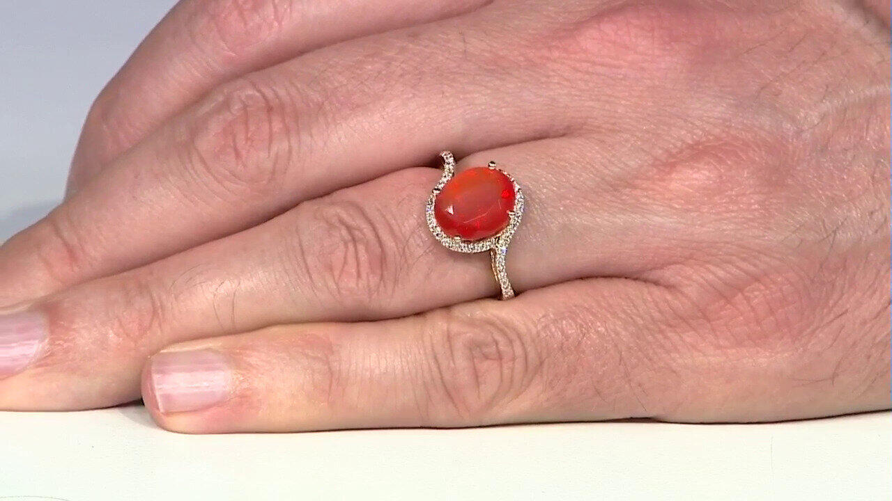 Letzte TV-Show ansehen