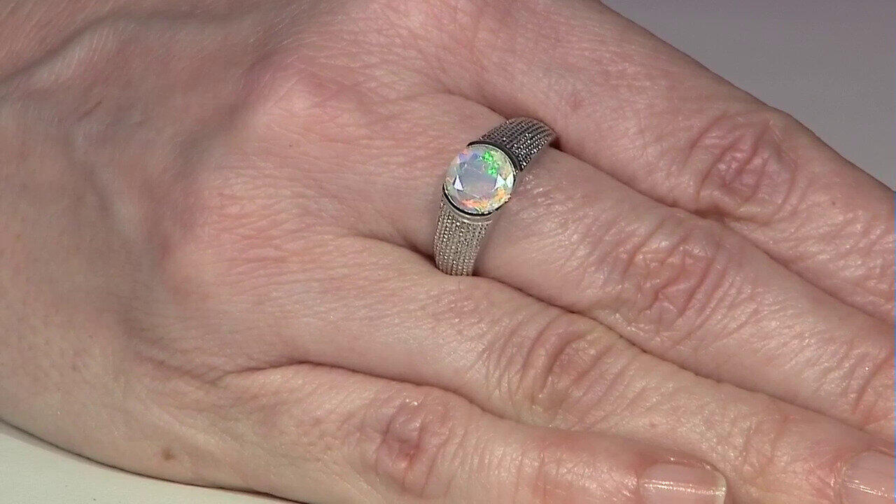 Letzte TV-Show ansehen