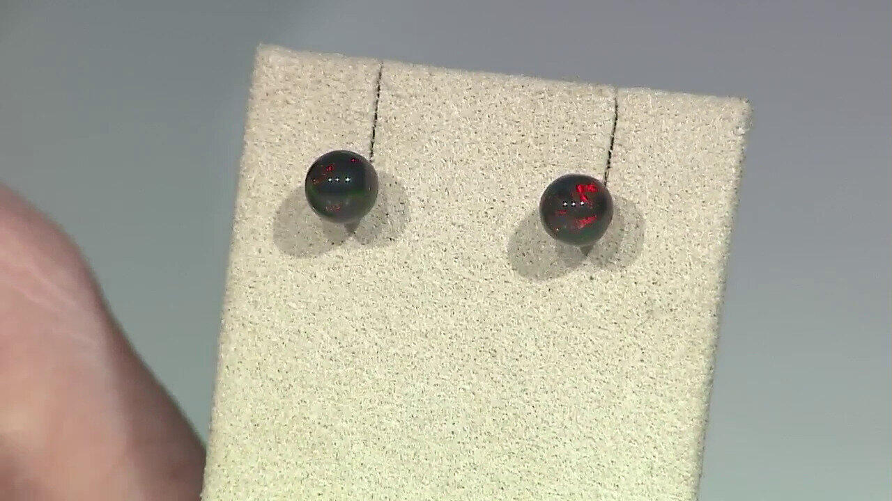 Letzte TV-Show ansehen