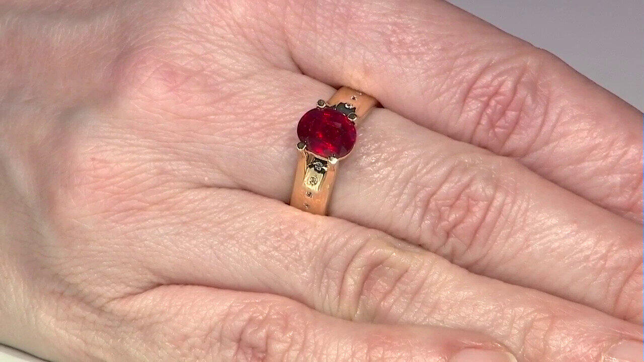 Letzte TV-Show ansehen