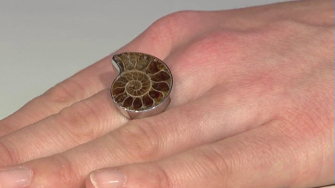 Laatste live aanbiedingen bekijken