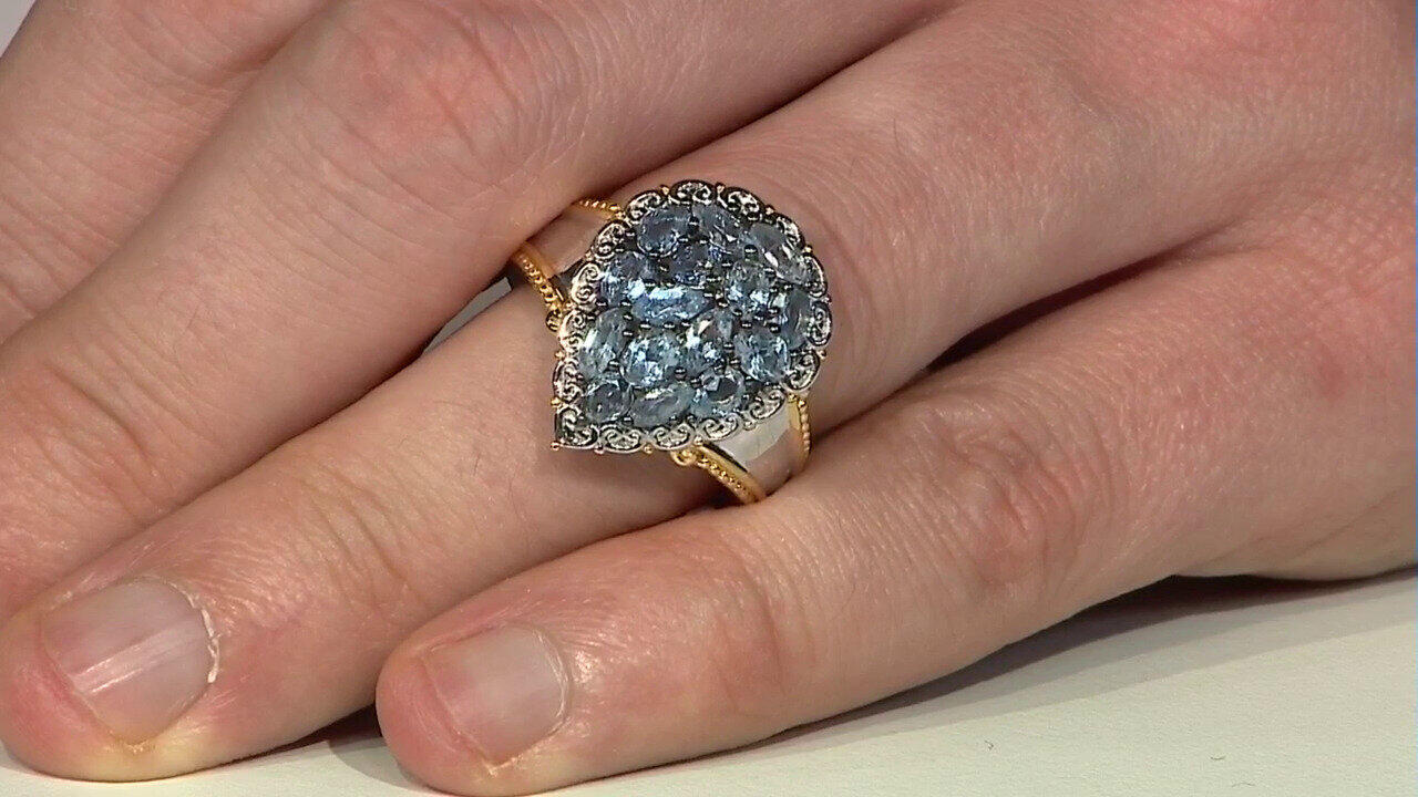 Voir l’enchère du bijou