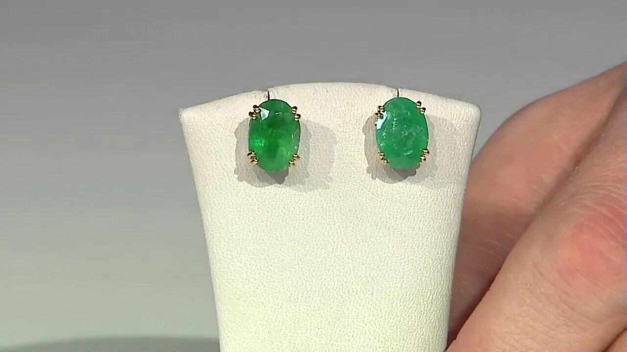 Letzte TV-Show ansehen