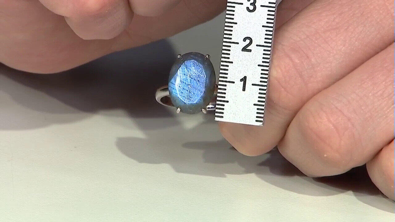 Letzte TV-Show ansehen