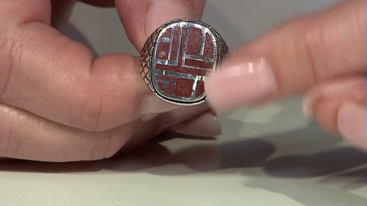 Letzte TV-Show ansehen