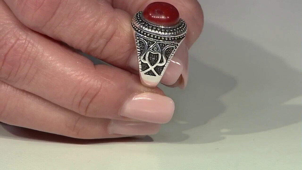 Ver última TV oferta