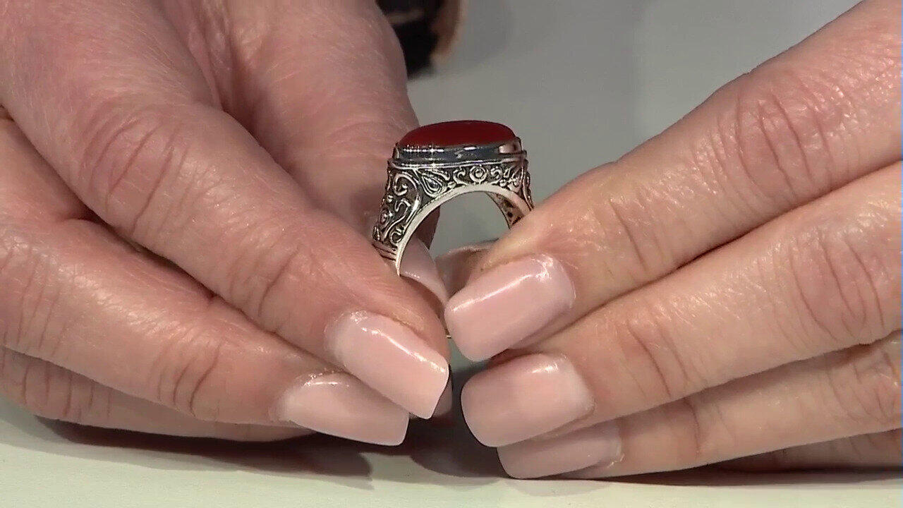 Letzte TV-Show ansehen