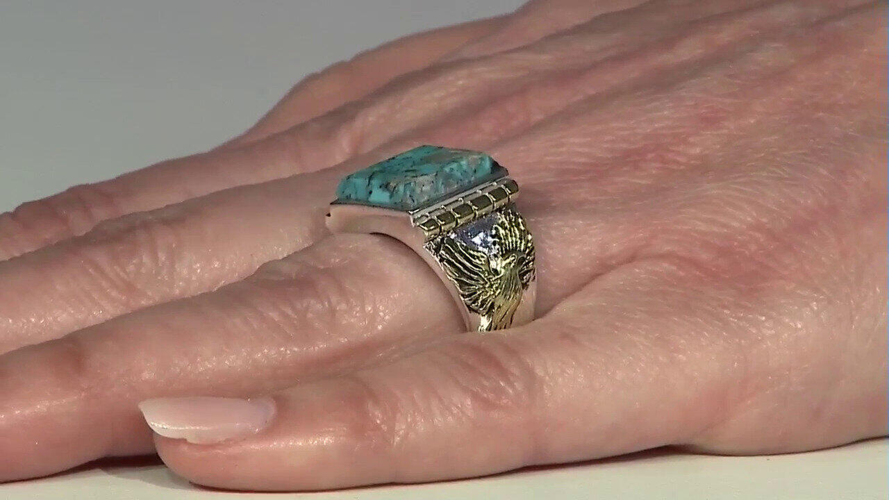 Letzte TV-Show ansehen