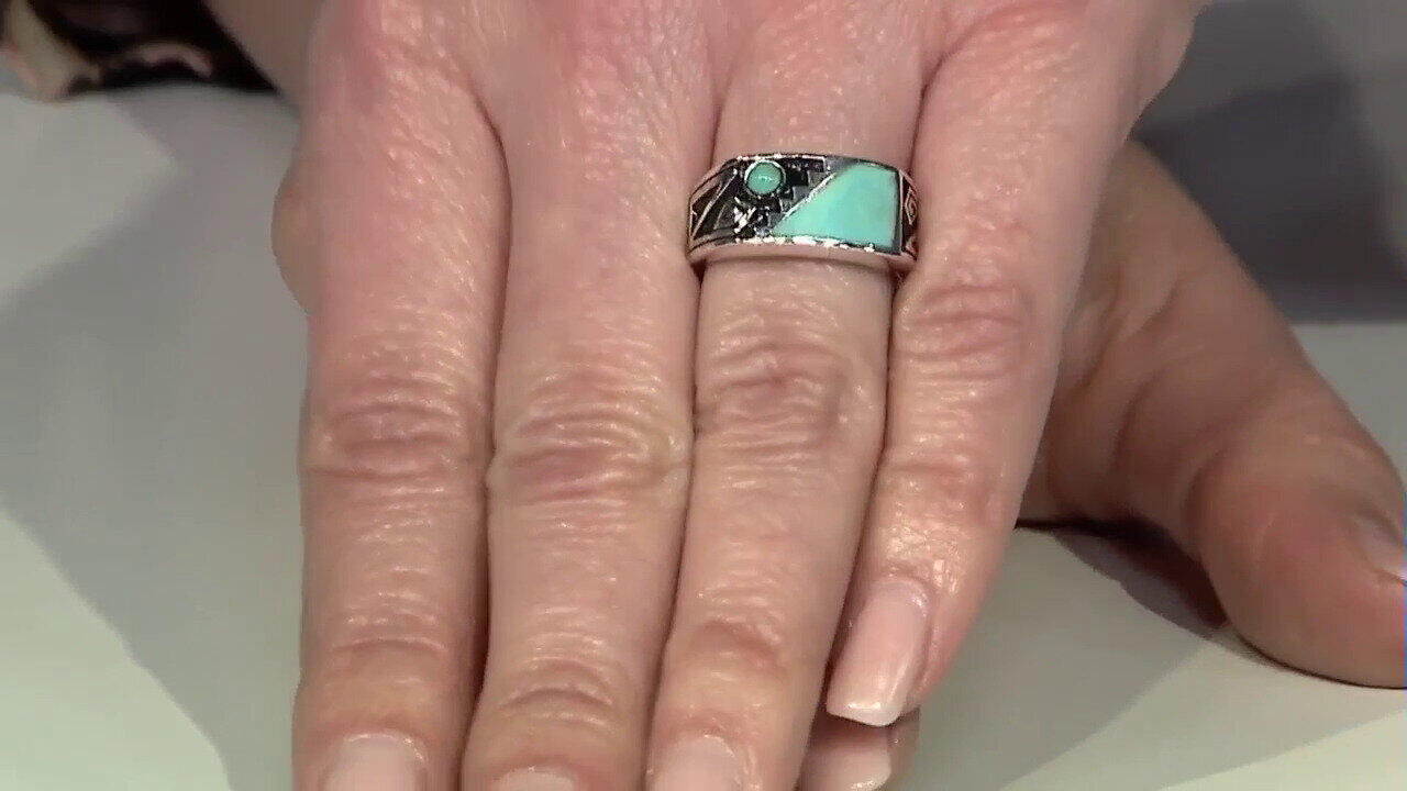 Letzte TV-Show ansehen