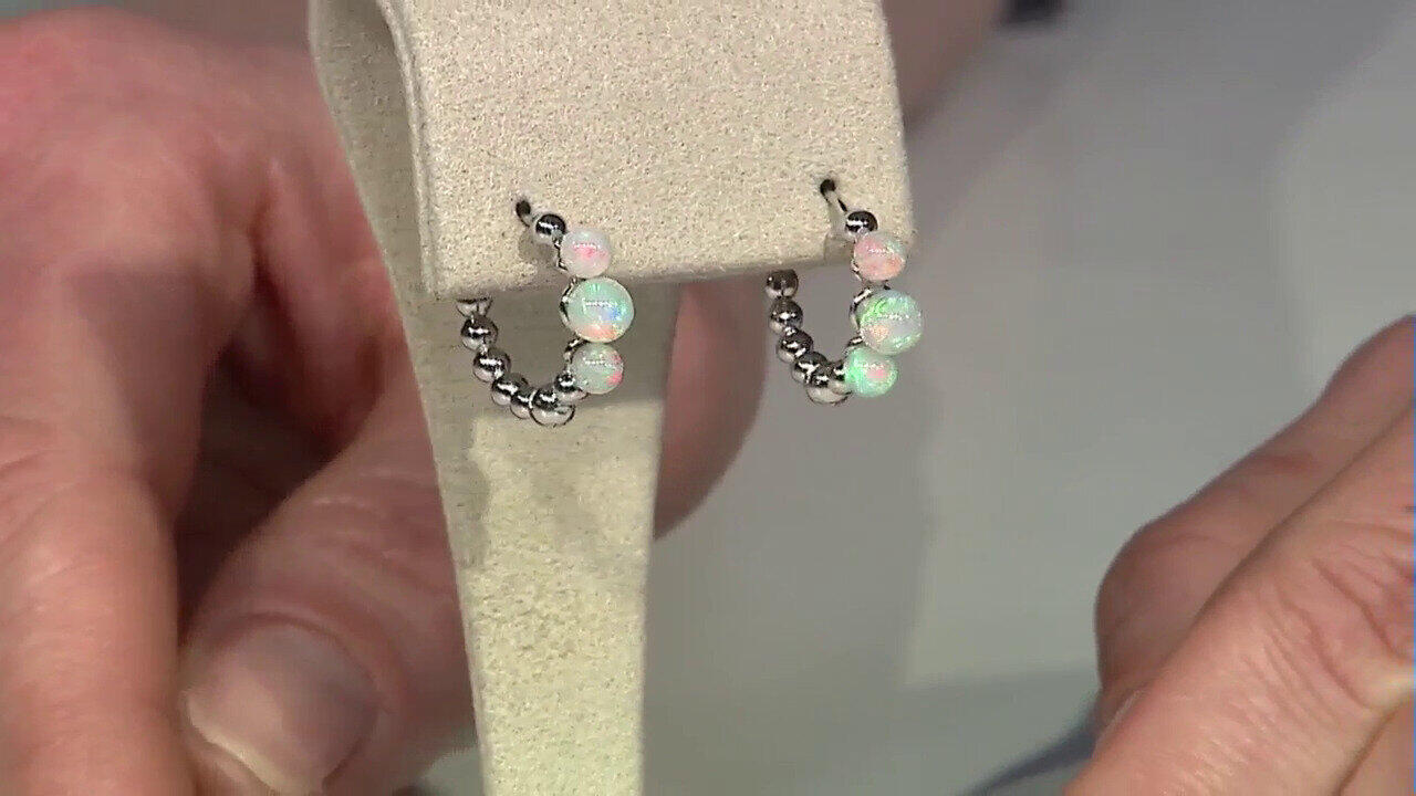 Laatste live aanbiedingen bekijken