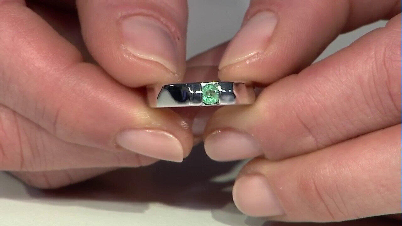 Letzte TV-Show ansehen