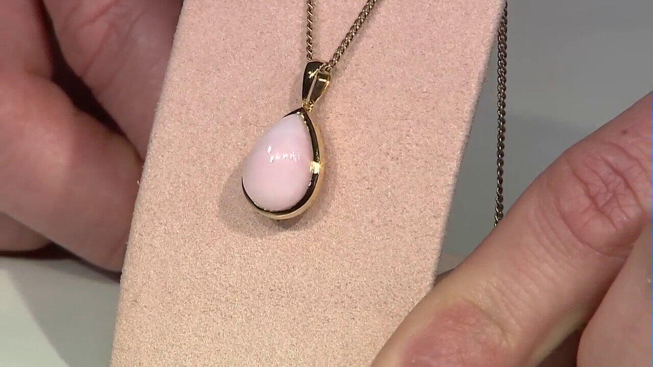 Letzte TV-Show ansehen