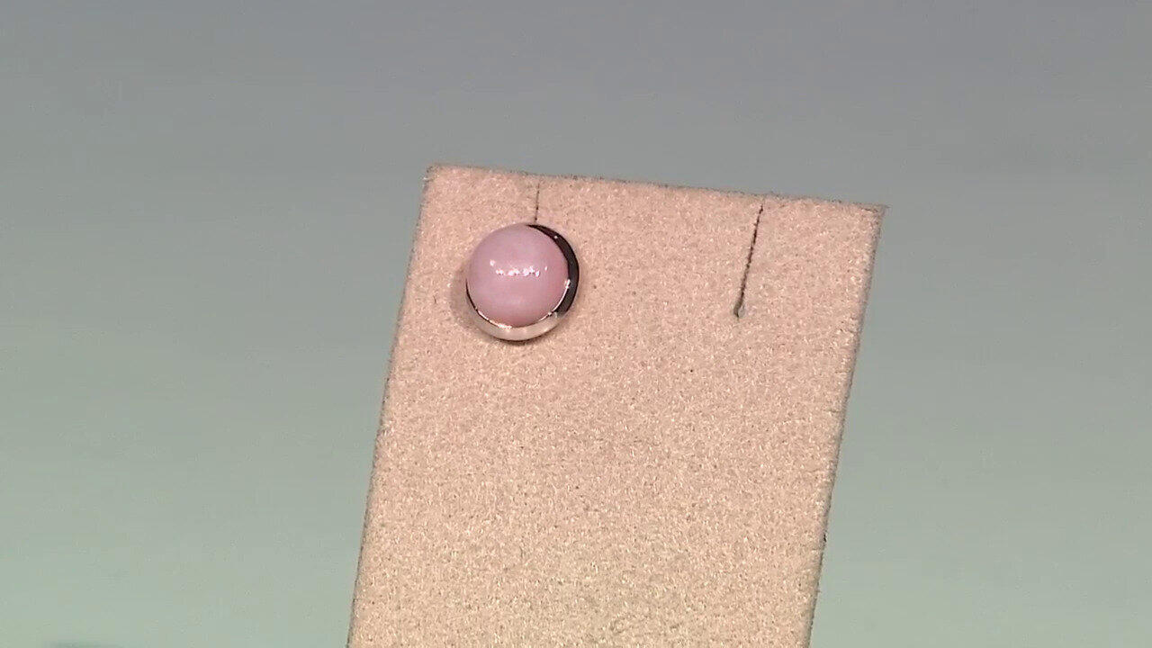 Letzte TV-Show ansehen