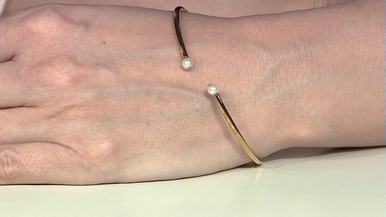 Voir l’enchère du bijou