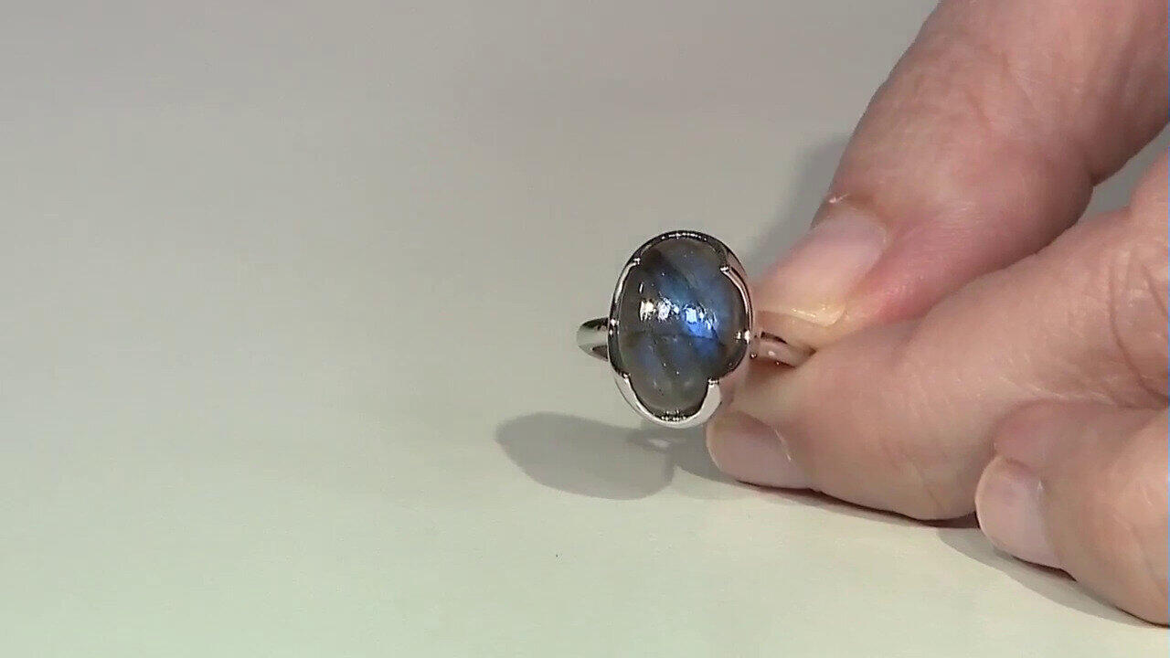 Letzte TV-Show ansehen