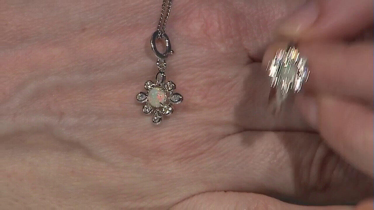 Ver última TV oferta