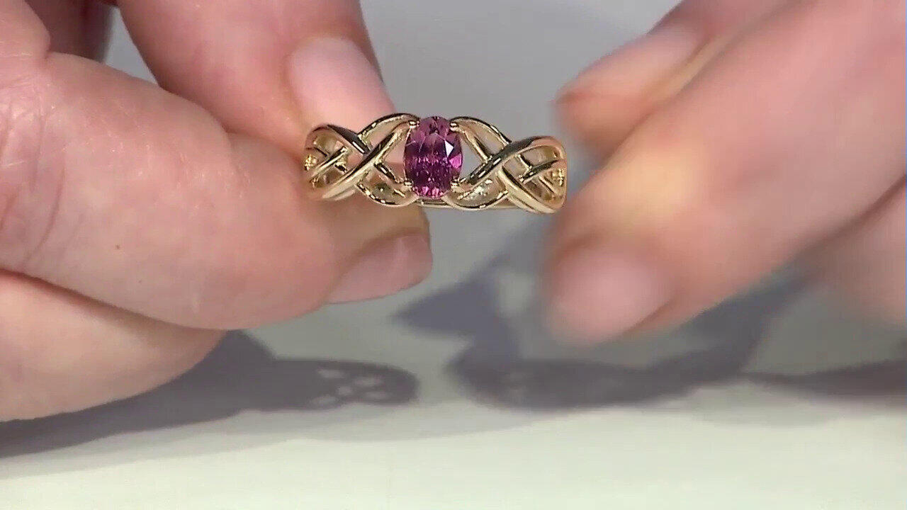 Letzte TV-Show ansehen