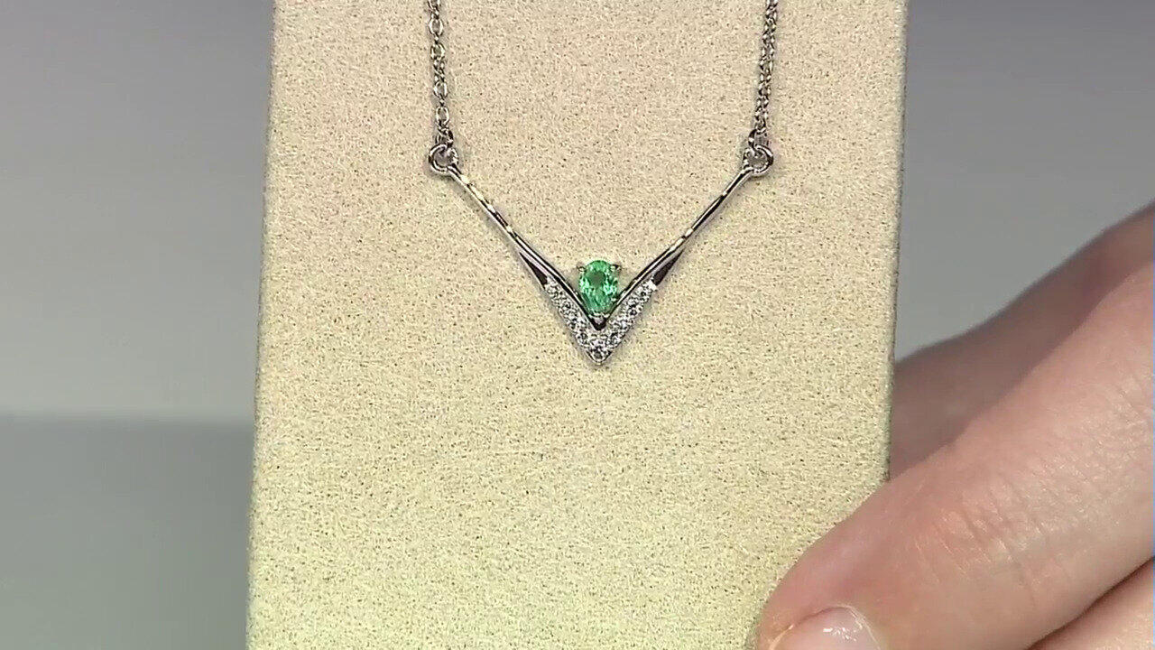 Ver última TV oferta