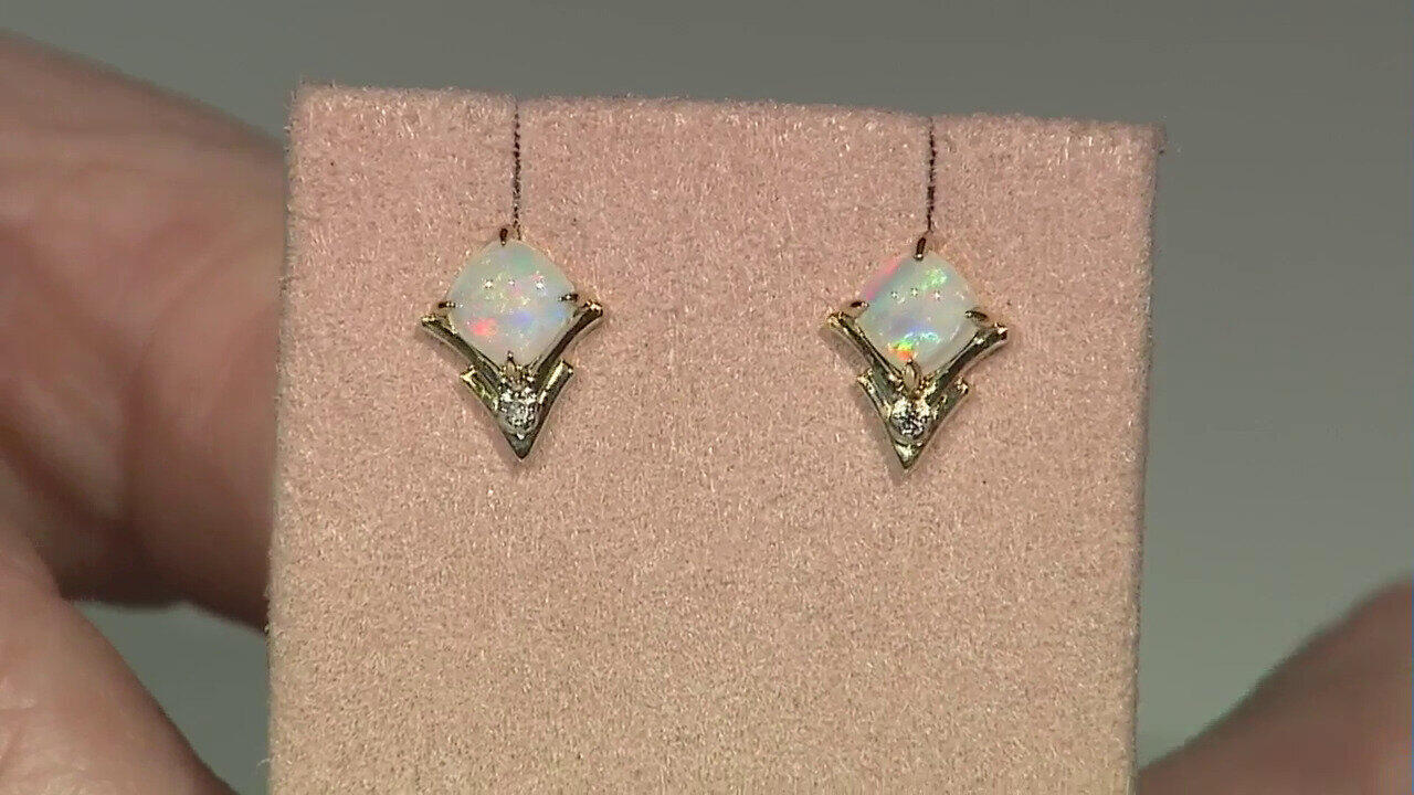 Letzte TV-Show ansehen