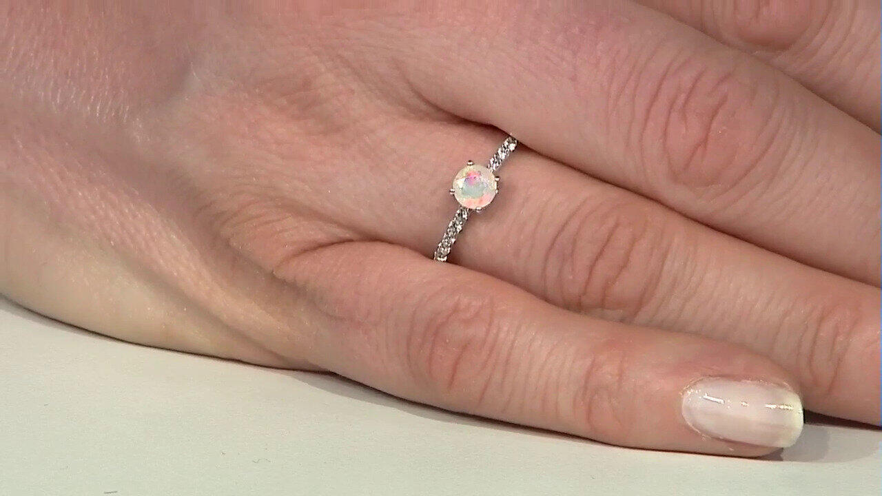 Letzte TV-Show ansehen