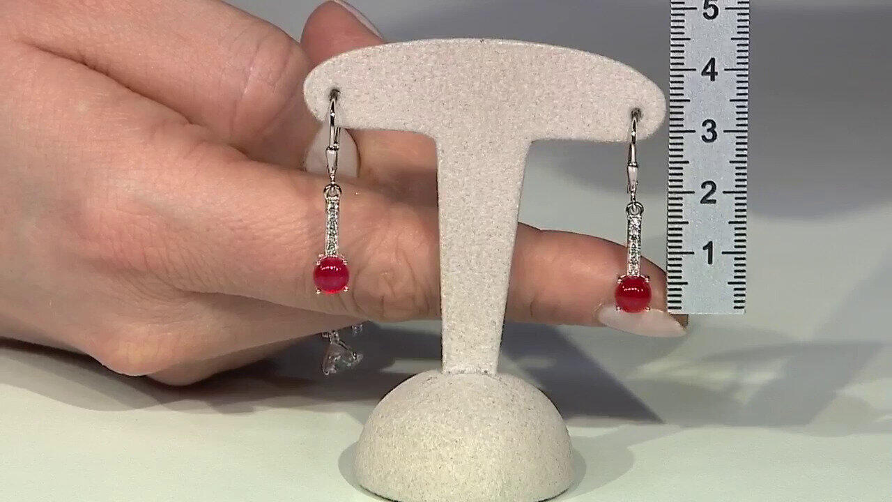 Letzte TV-Show ansehen