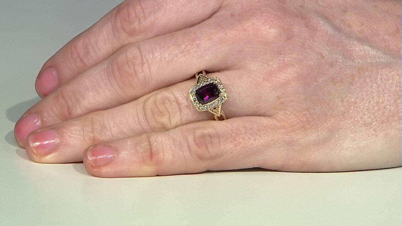 Letzte TV-Show ansehen