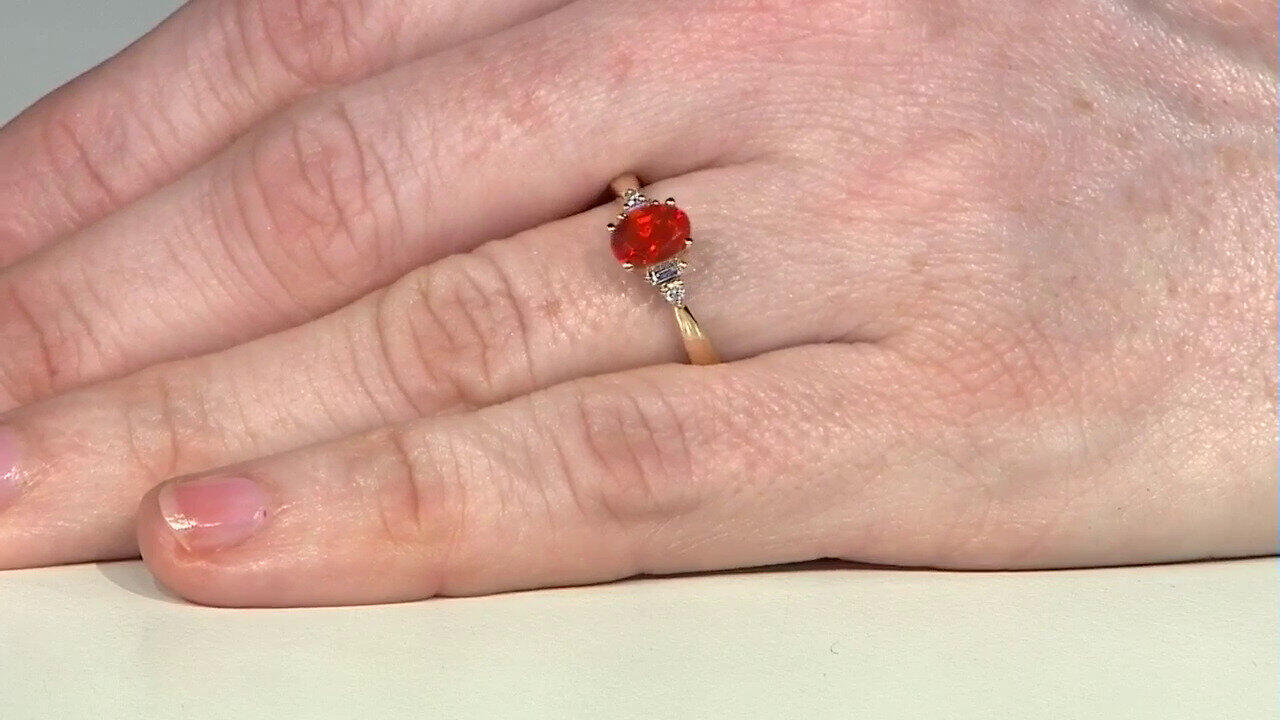 Letzte TV-Show ansehen