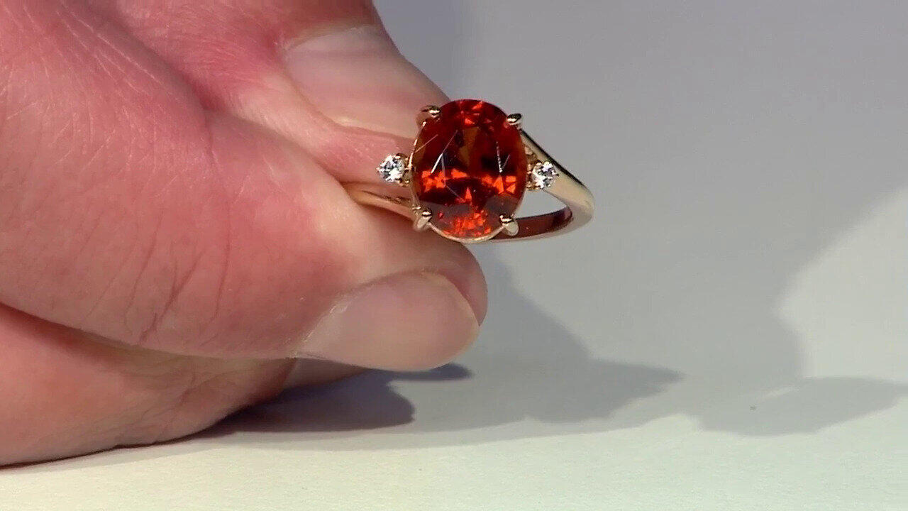 Laatste live aanbiedingen bekijken