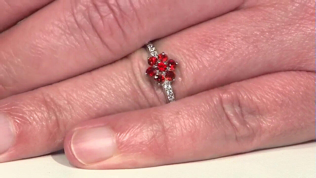 Letzte TV-Show ansehen