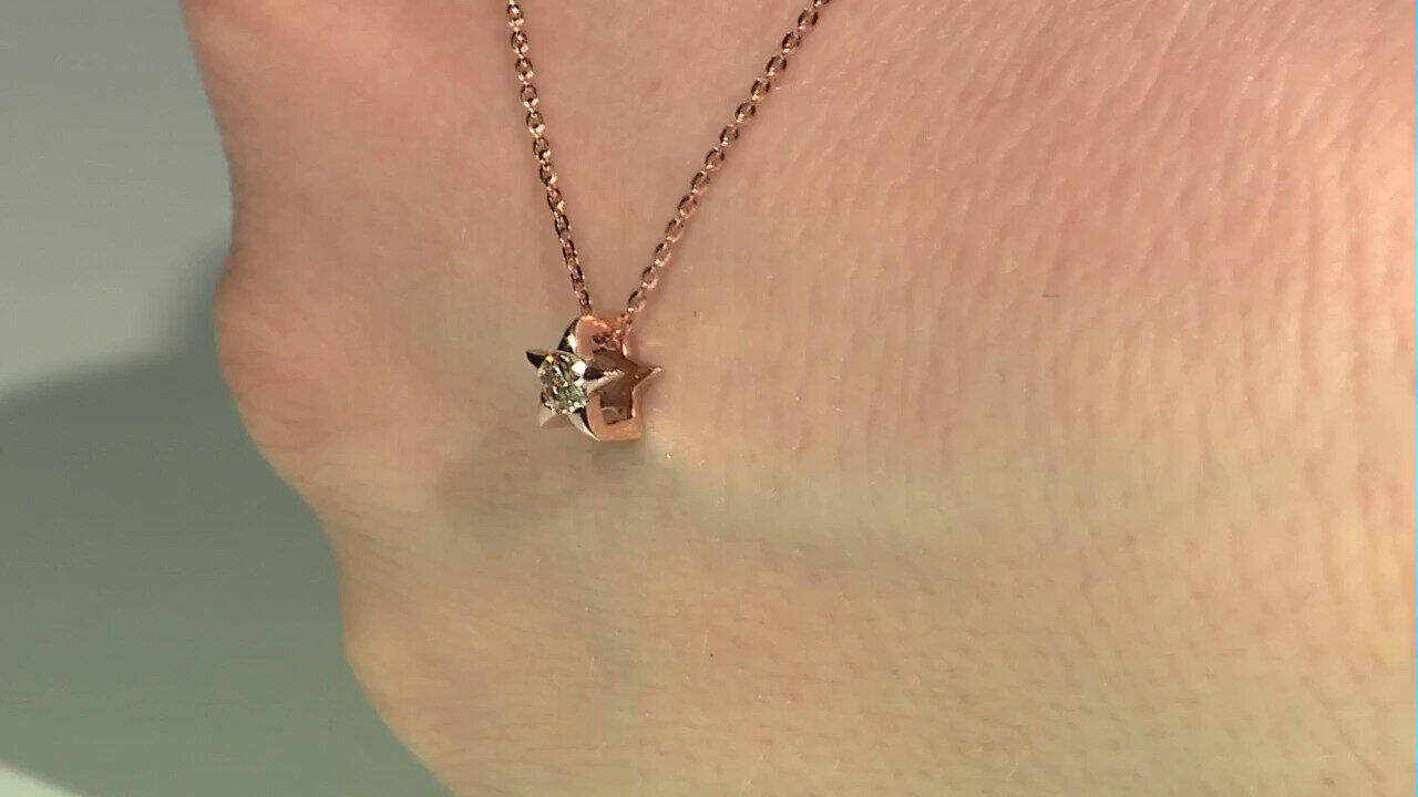 Letzte TV-Show ansehen