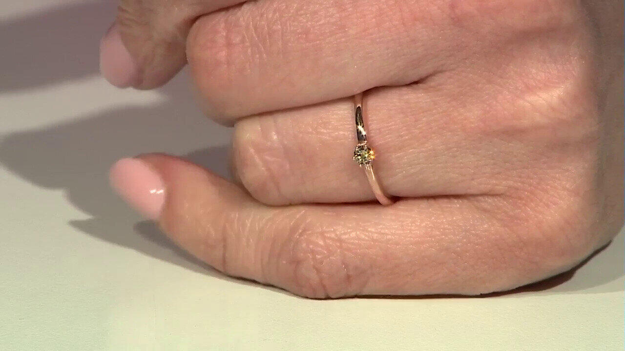 Letzte TV-Show ansehen