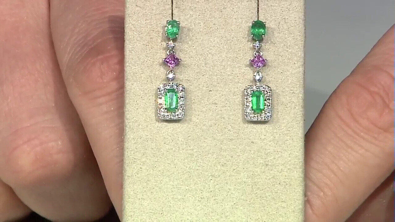 Letzte TV-Show ansehen