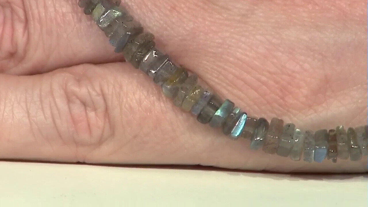 Letzte TV-Show ansehen