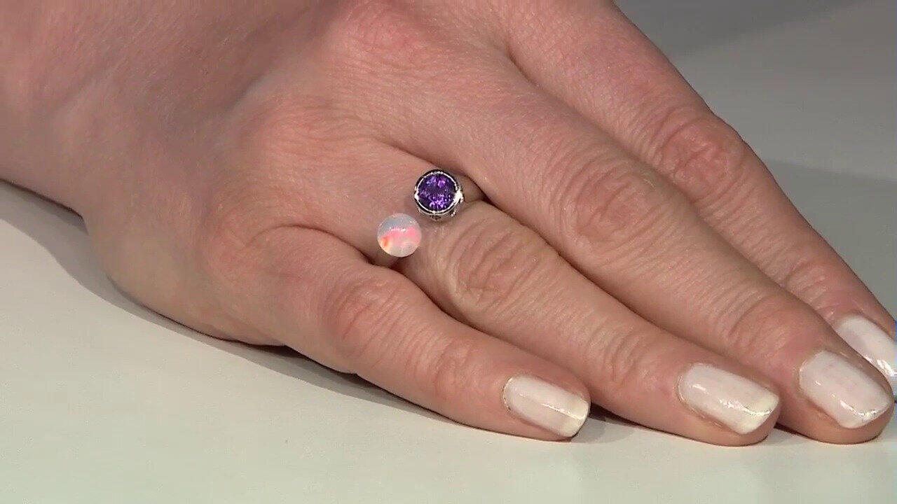 Letzte TV-Show ansehen