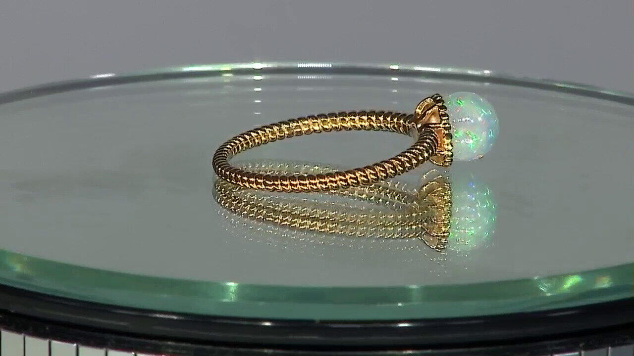 Letzte TV-Show ansehen