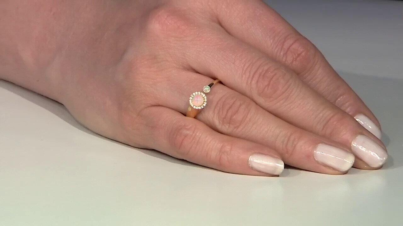 Letzte TV-Show ansehen