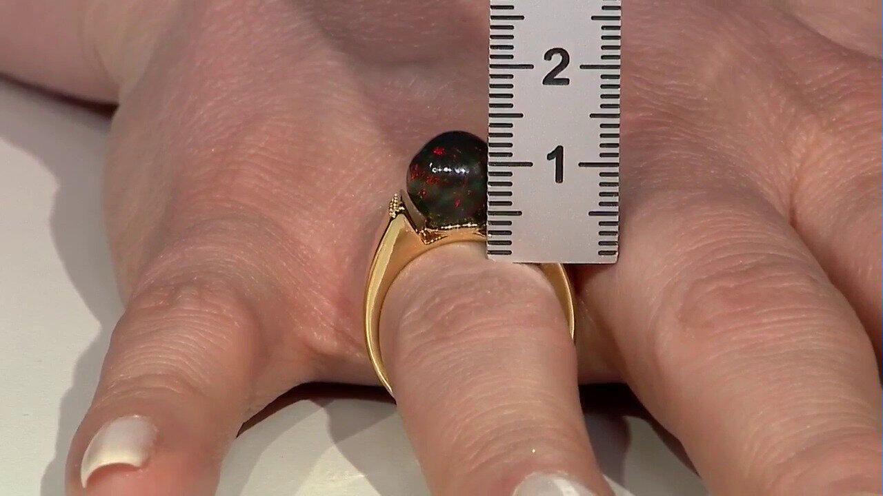 Letzte TV-Show ansehen