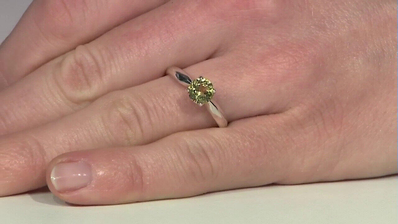 Letzte TV-Show ansehen