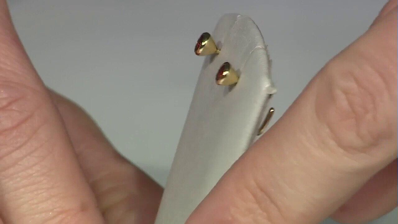 Laatste live aanbiedingen bekijken