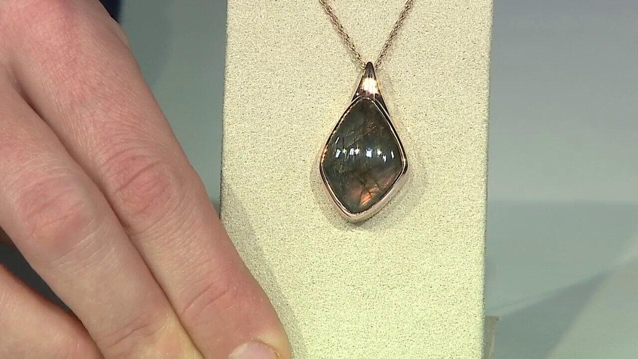 Letzte TV-Show ansehen