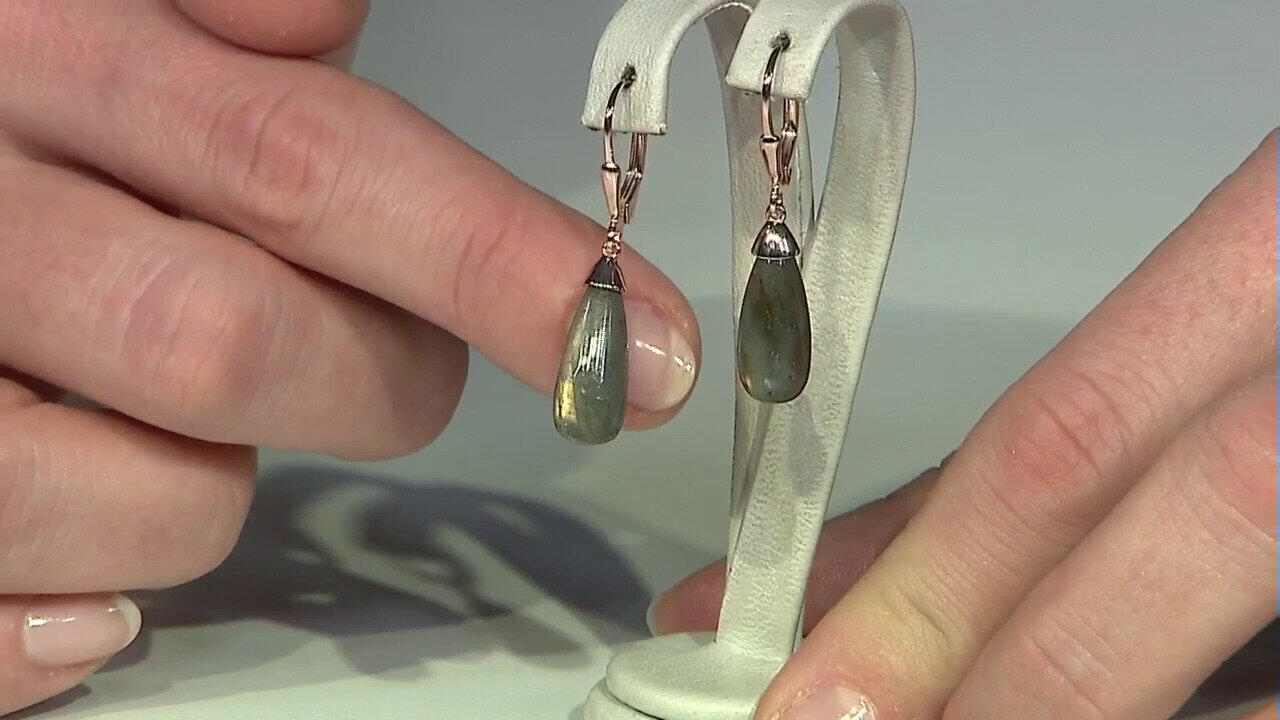 Letzte TV-Show ansehen