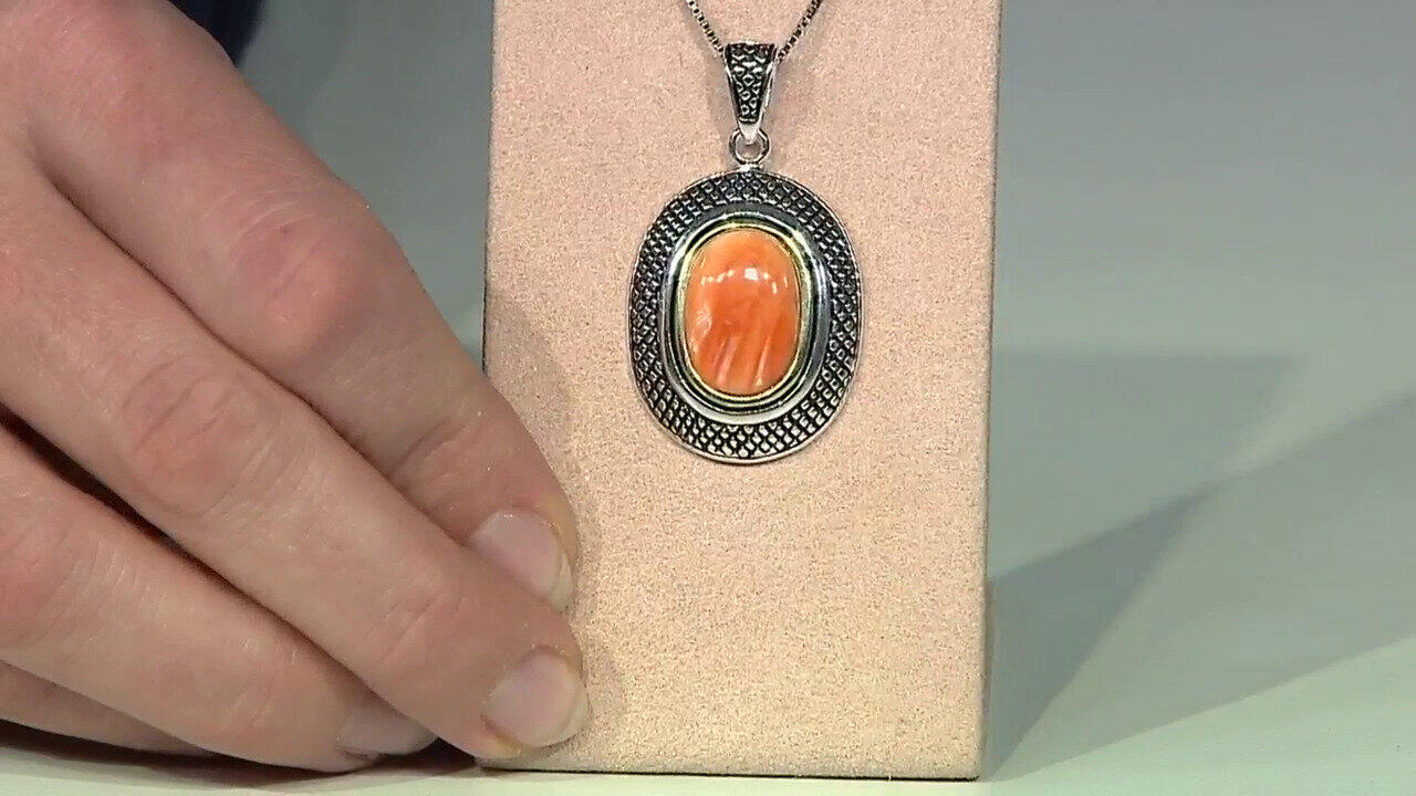 Ver última TV oferta