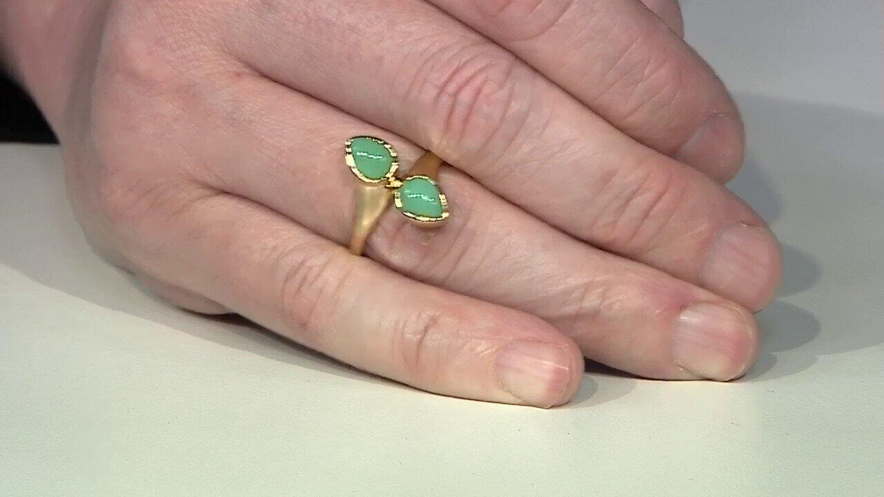 Letzte TV-Show ansehen