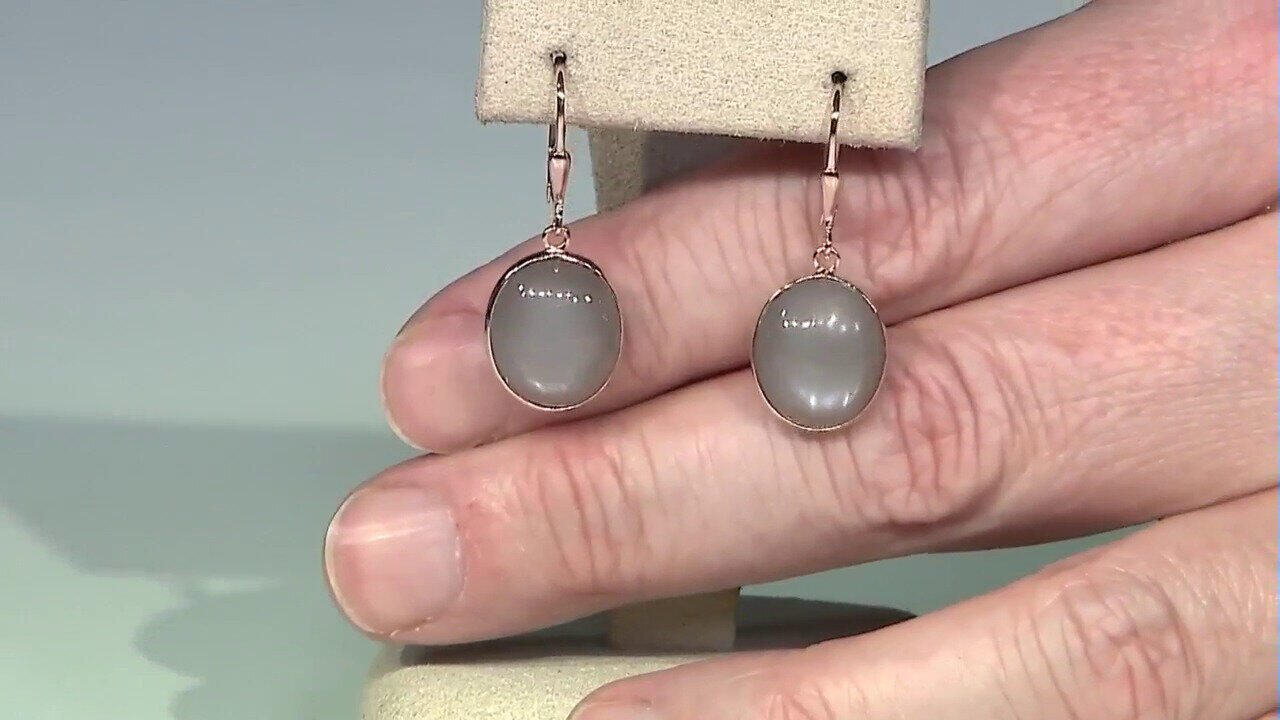 Letzte TV-Show ansehen