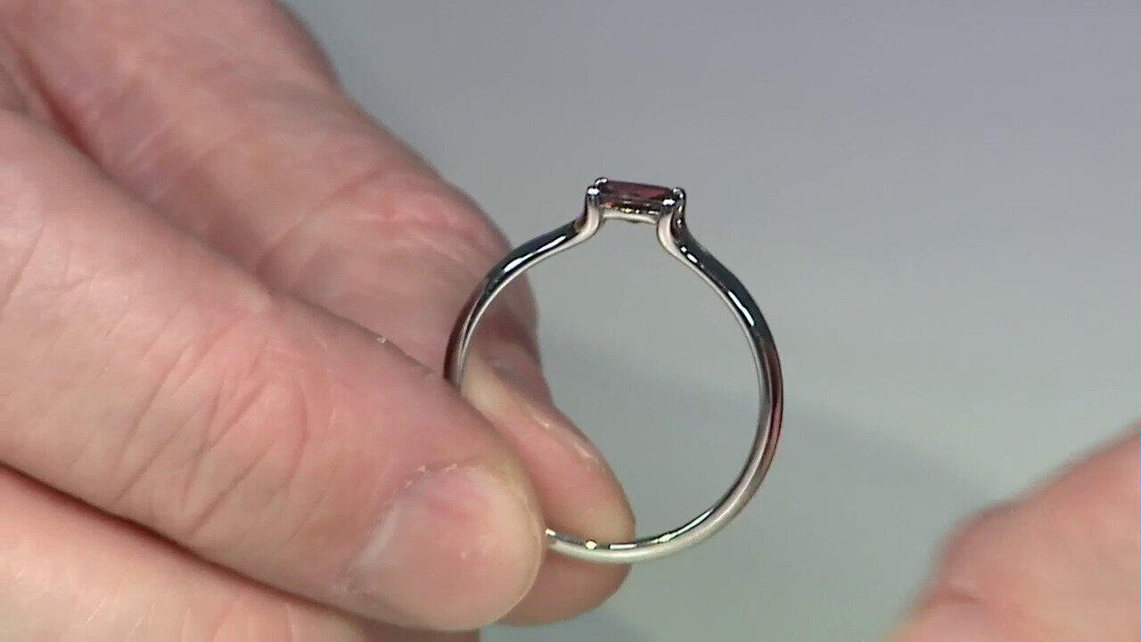 Letzte TV-Show ansehen