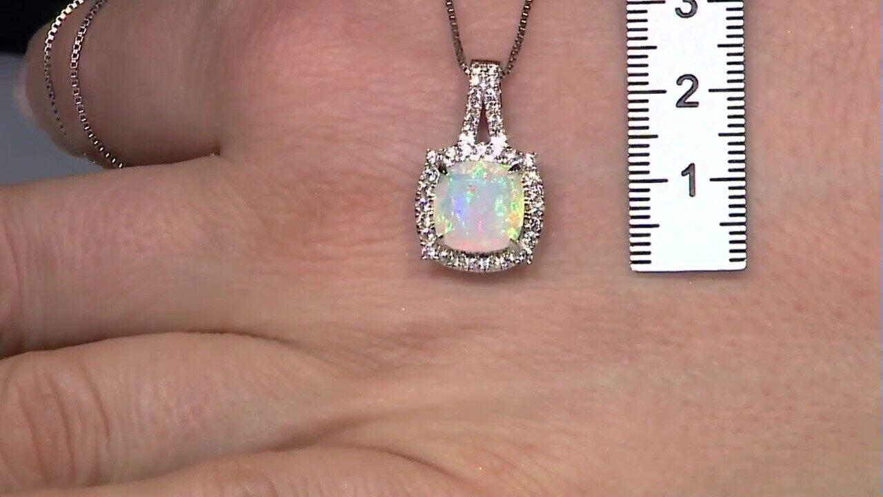 Letzte TV-Show ansehen