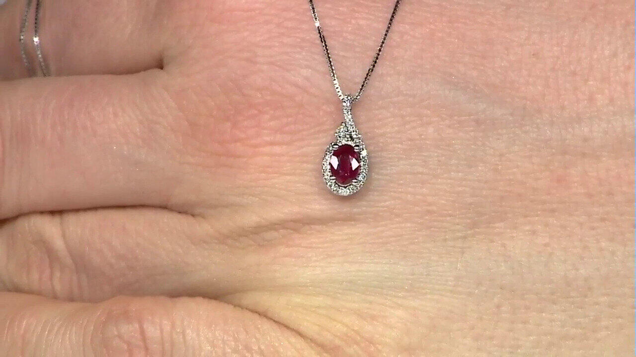 Letzte TV-Show ansehen