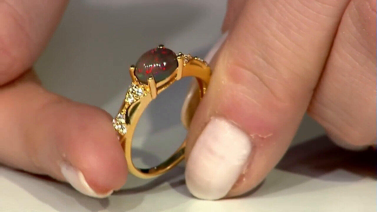 Letzte TV-Show ansehen