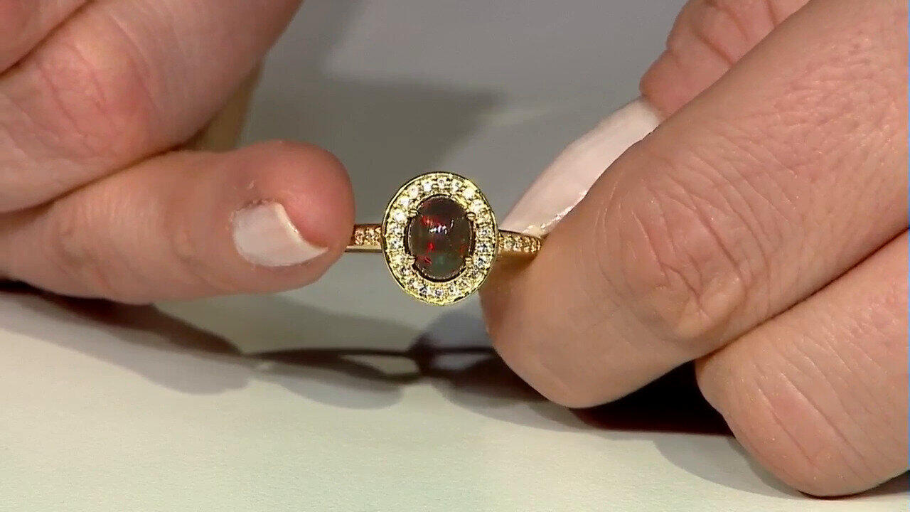 Letzte TV-Show ansehen