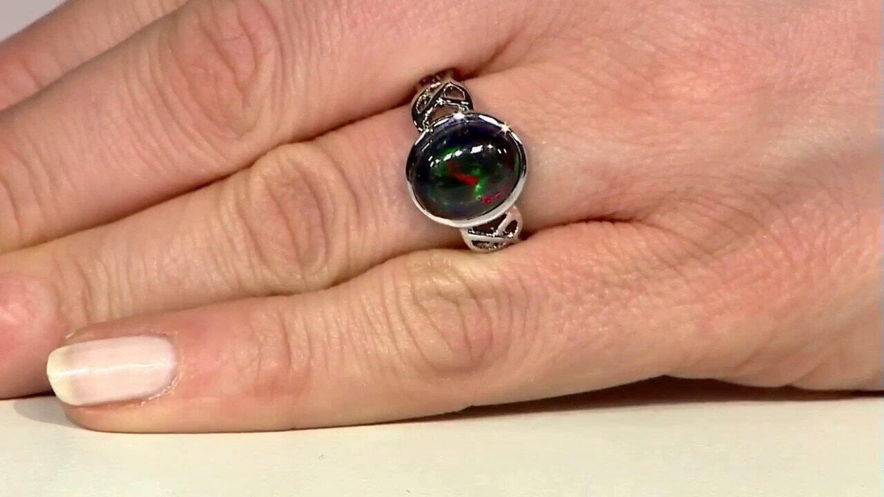 Letzte TV-Show ansehen